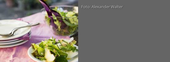 Rezeptbild für "Blattsalat mit Melone und Kräutern"