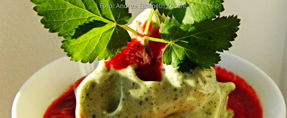 Bananen-Eis mit Himbeersoße in weißer Schale