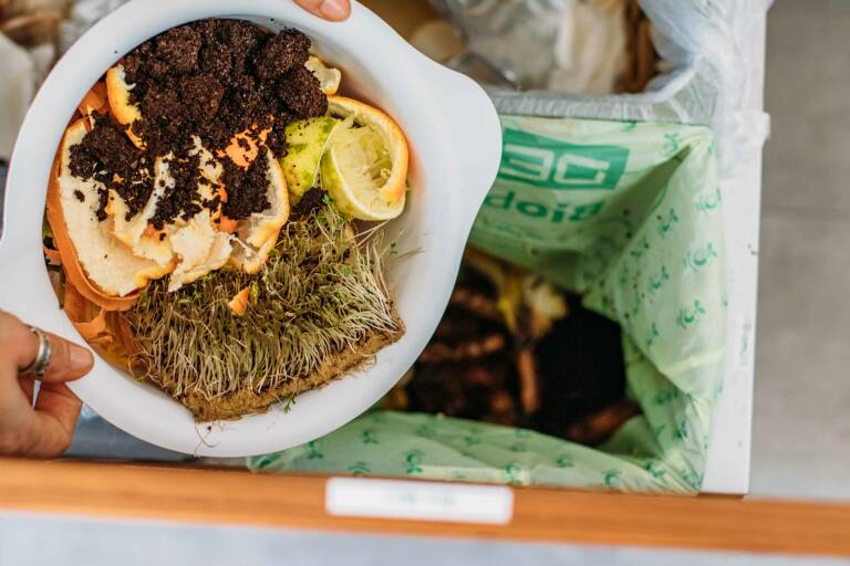 Was gehört in den Biomüll und was nicht? Magazin