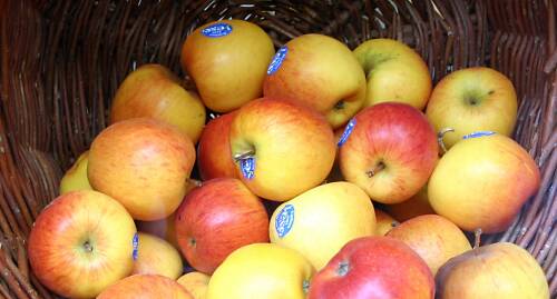 Weidenkorb gefüllt mit bereits etikettierten Braeburn Äpfeln, von oben fotografiert.