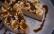 Torte aus Erdnussbutter auf großer heller Platte, dekoriert mit Bananenscheiben, Pinienkernen und Karamell