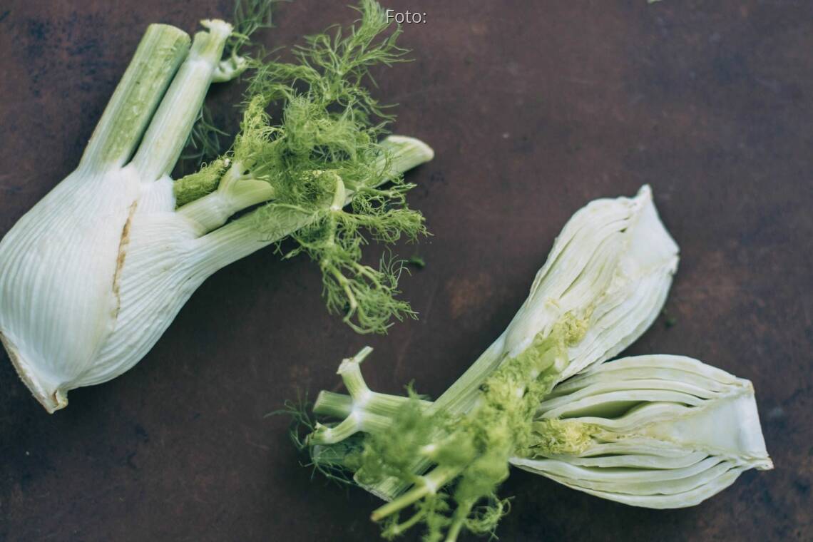 Kochen mit Fenchel: Einkaufstipps, Sortenkunde und Rezeptideen