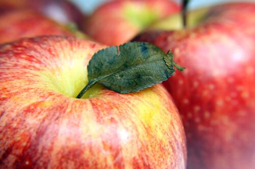 Ausschnitt zeigt mehrere Gala Äpfel, in schönem Rot mit den typischen gelben Flecken.