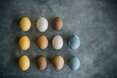 Ostereier Naturlich Farben Sevencooks