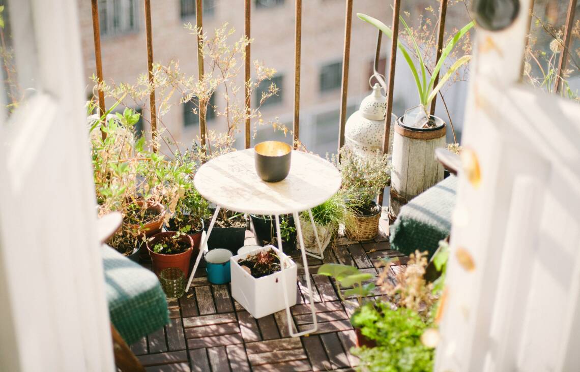 Gemüseanbau auf dem Balkon: Kräuter und Pflanzen in kleinen Töpfchen