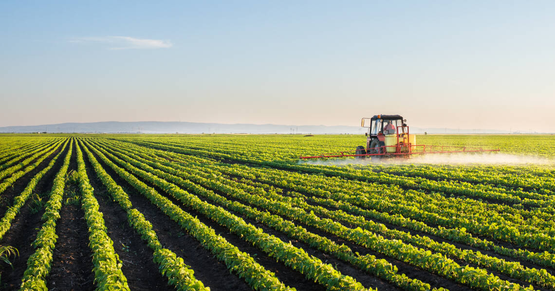 Ein Traktor versprüht Herbizide auf einem Sojafeld