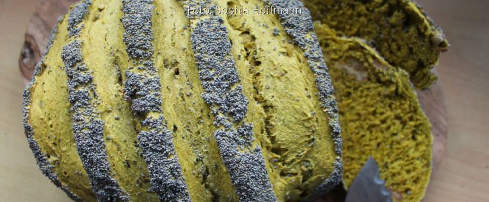 grünes Brot aus Matcha mit Mohn bestreut, aufgeschnitten