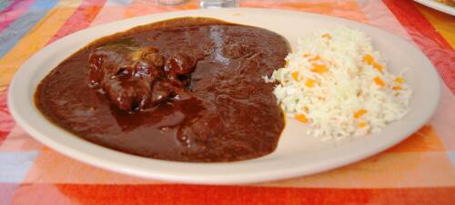 Die rote Mole-Sauce ist typisch für mexikanisches Essen. Hier wird sie mit Reis serviert, von vorne fotografiert.