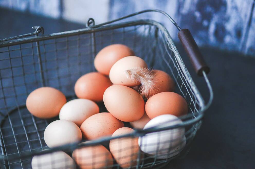 Müssen Eier in den Kühlschrank? Magazin
