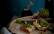 Grünkohl-Pesto auf Baguette liegt auf einer Holzscheibe mit Deko