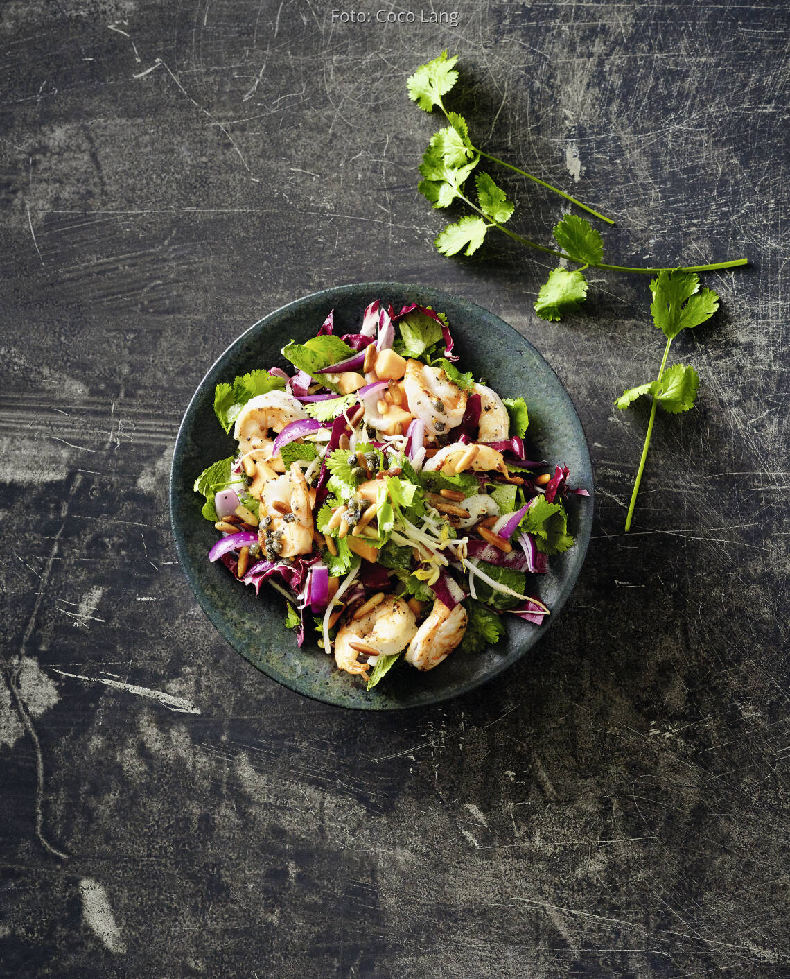 Radicchio-Salat mit Garnelen