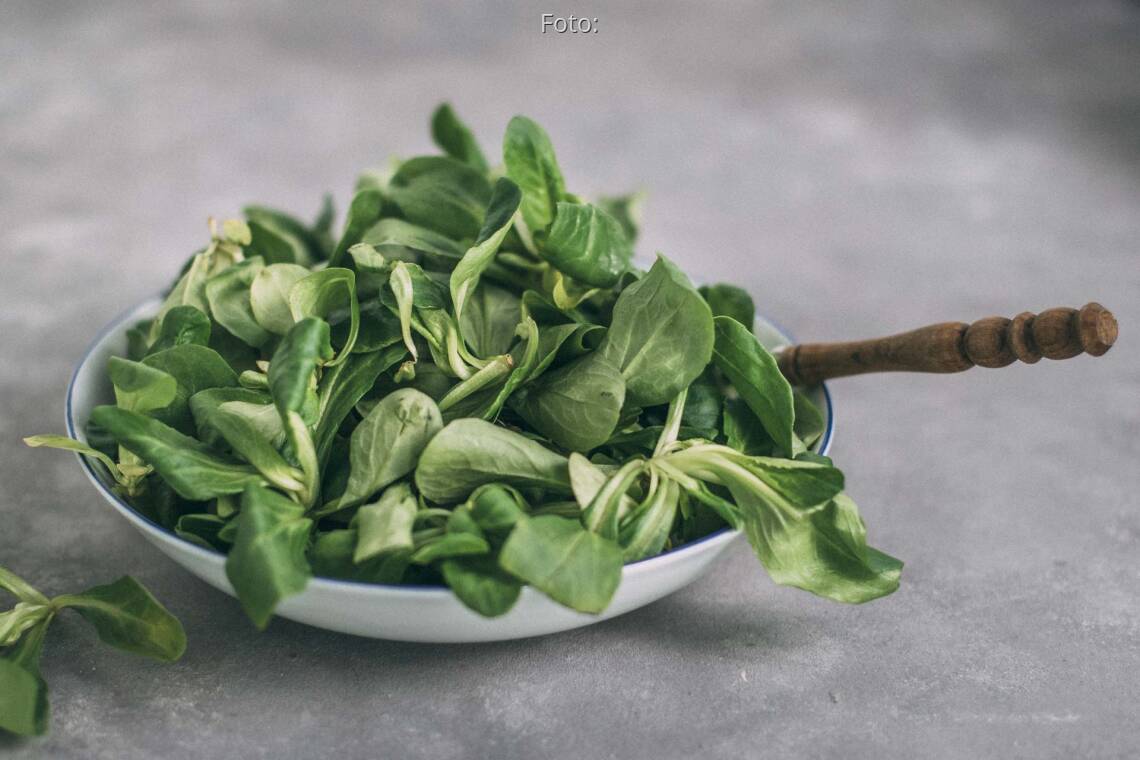 Feldsalat putzen: So bleibt er knackig und nährstoffreich