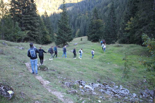 Das SevenCooks Team beim Wandern über eine Wiese.
