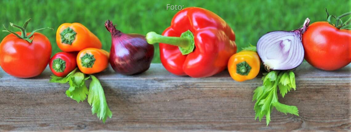 Bio, fair, vegan – so behältst du den Durchblick im Siegel-Dschungel