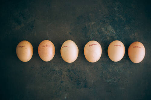 In diesem Artikel erfährst du, wann du Eier abschrecken sollst und wann es sogar gesundheitsgefährdend sein kann.