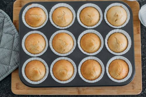 vegane Cupcakes  gebacken in Muffinform.
