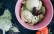 Veganes Rezept: Avocado-Cashew-Eis
