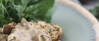 Veganes Rezept: Brezenknödel mit Pfifferling-Champignon-Rahmsauce
