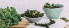 Veganes Rezept: Grünkohl-Chips 2