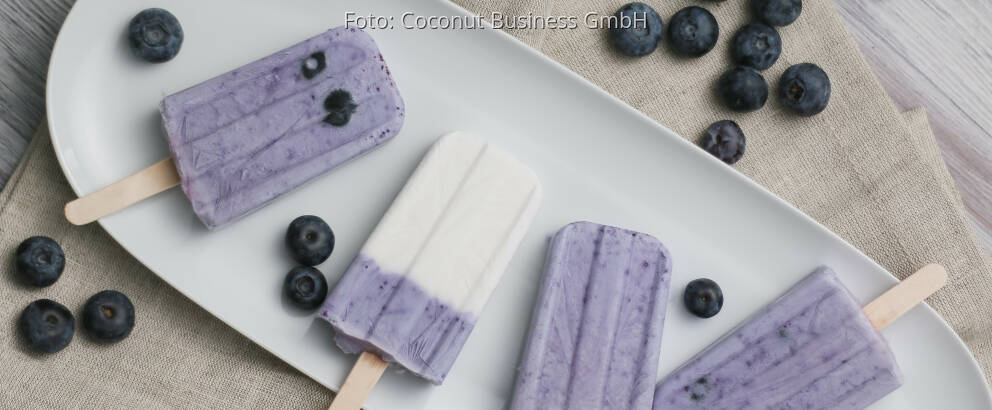 Veganes Rezept: Kokos-Blaubeer Popsicles