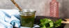 Veganes Rezept: Löwenzahnpesto 2