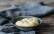 Veganes Rezept: Mandel-Mayonnaise 2