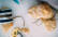 Veganes Rezept: Mini-Baguette