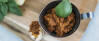 Veganes Rezept: Pesto rosso