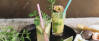 Veganes Rezept: Pfefferminz-Tee-Mojito 2