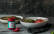 Veganes Rezept: Pinkes Curry mit Belugalinsen