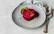 Veganes Rezept: Rote Bete Risotto 2