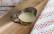 Veganes Rezept: Schnelle Sauce Hollandaise