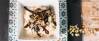 Veganes Rezept: Schwarzrettichsalat mit Joghurtdressing 3
