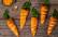 Veganes Rezept: Vegane Oster-Snack-Karotten 2