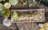 Veganes Rezept: Veganes Pesto mit Stangensellerie 1