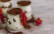 Veganes Rezept: Veganes Tiramisu