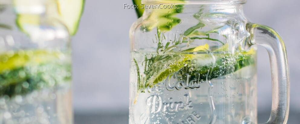 Veganes Rezept: Virgin Gin Tonic_1