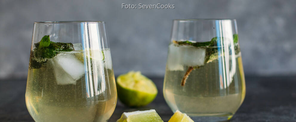 Veganes Rezept: Virgin Hugo_1