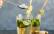 Veganes Rezept: Virgin Moscow Mule_3
