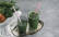 Veganes Rezept: Wintersmoothie for Beginners
