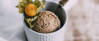 Veganes Rezept: Zimteis 1