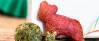 Vegetarisches Rezept: Bunte Tierbrote 3