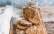 Vegetarisches Rezept: Buttermilch-Joghurt-Brot im Weckglas_1