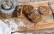 Vegetarisches Rezept: Buttermilch-Joghurt-Brot im Weckglas_2