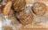 Vegetarisches Rezept: Buttermilch-Joghurt-Brot im Weckglas_3