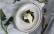 Vegetarisches Rezept: Eggs Florentine