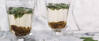 Vegetarisches Rezept: Feigen-Sekt 3
