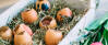 Vegetarisches Rezept: Gebackene Ostereier_3