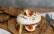 Vegetarisches Rezept: Gebackener Camembert auf Vollkornbrot_1