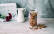 Vegetarisches Rezept: Granola Knuspermüsli